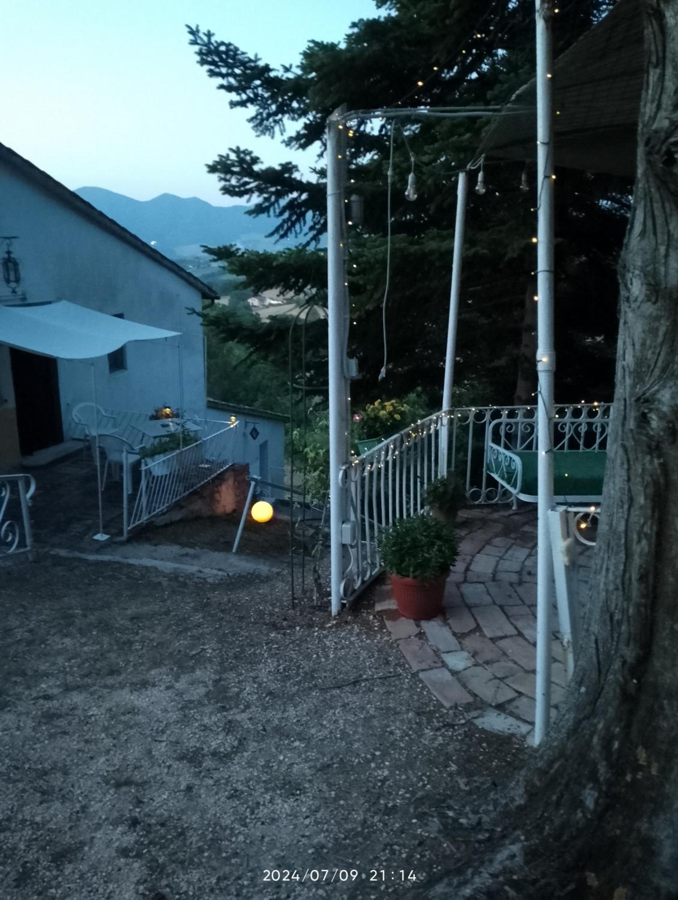 Photo 43