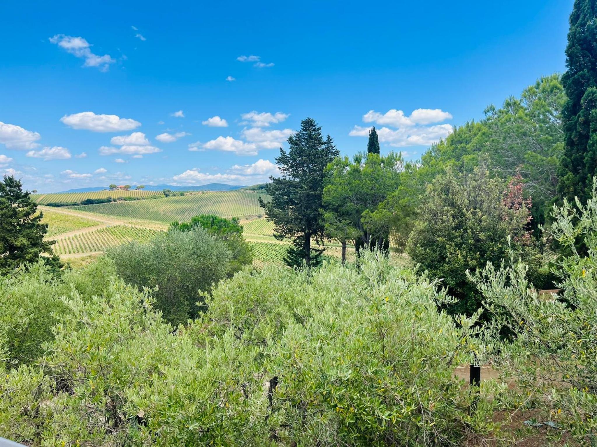 Villa Val delle Vigne