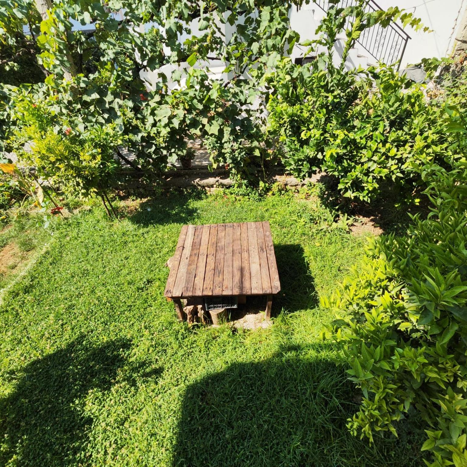 Bujari Guesthouse