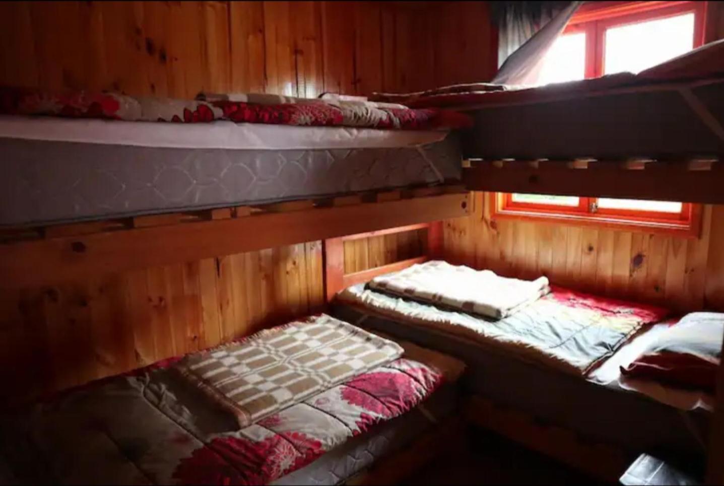 Cabañas Soelafquen