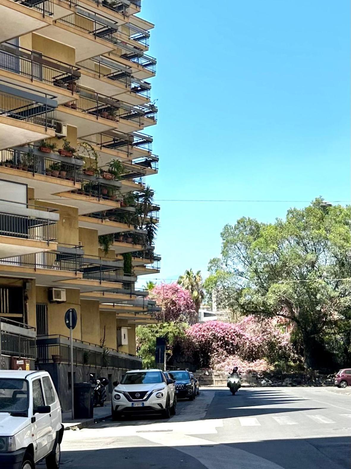 Black Meryliboon suite - Central Catania