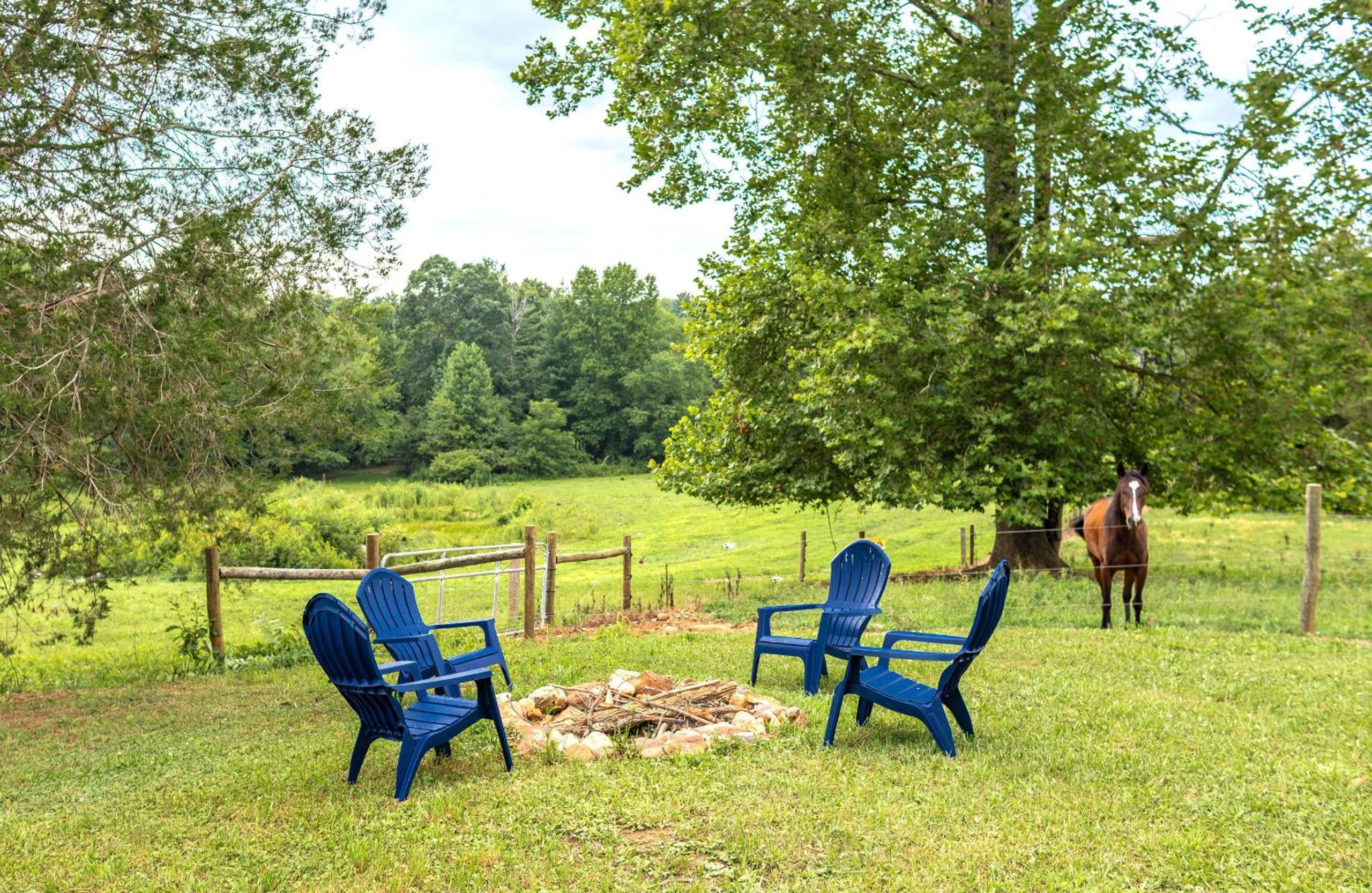 Equestrian Escape