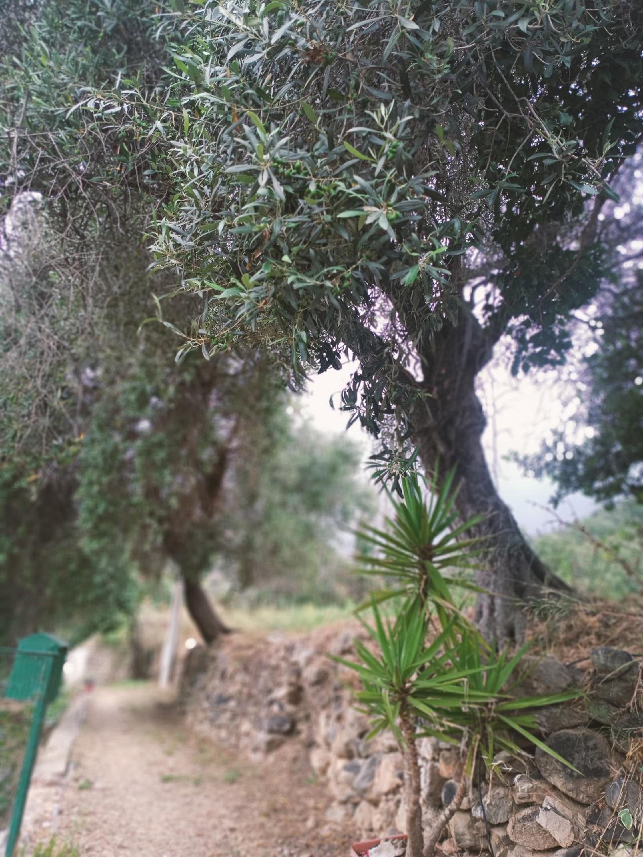 A Ca du Giaba view 4