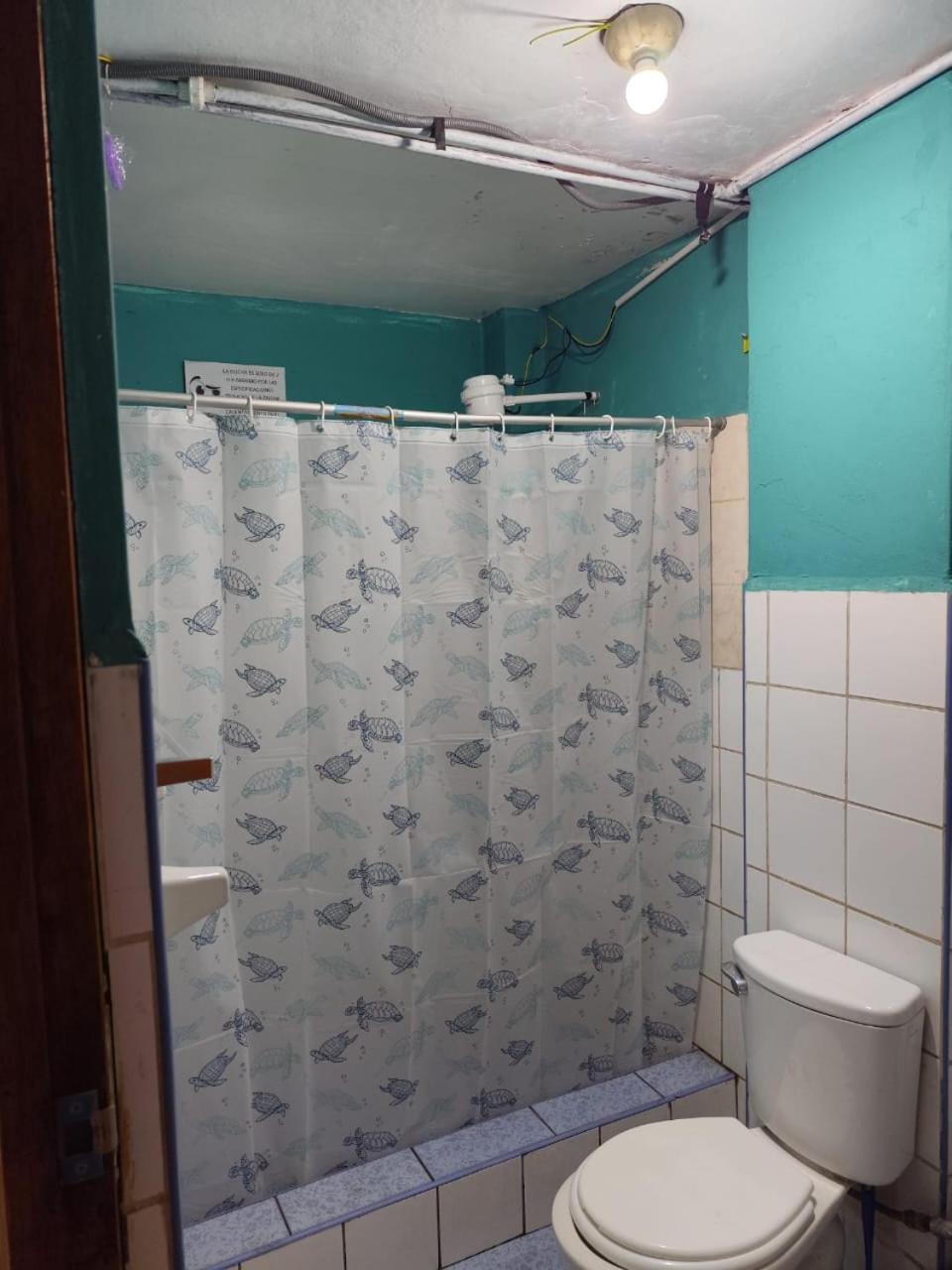 Photo 17