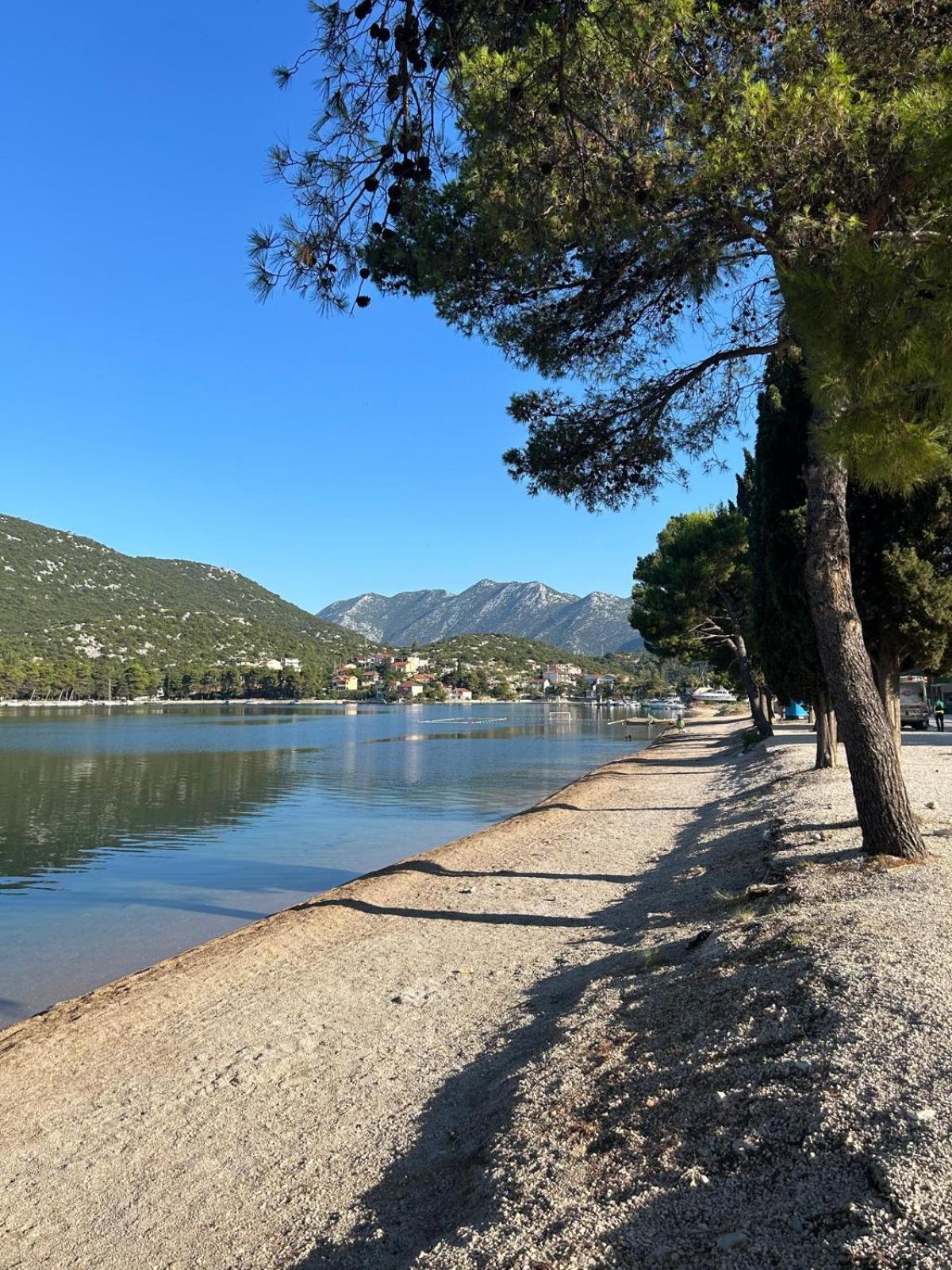 Apartmani Portina