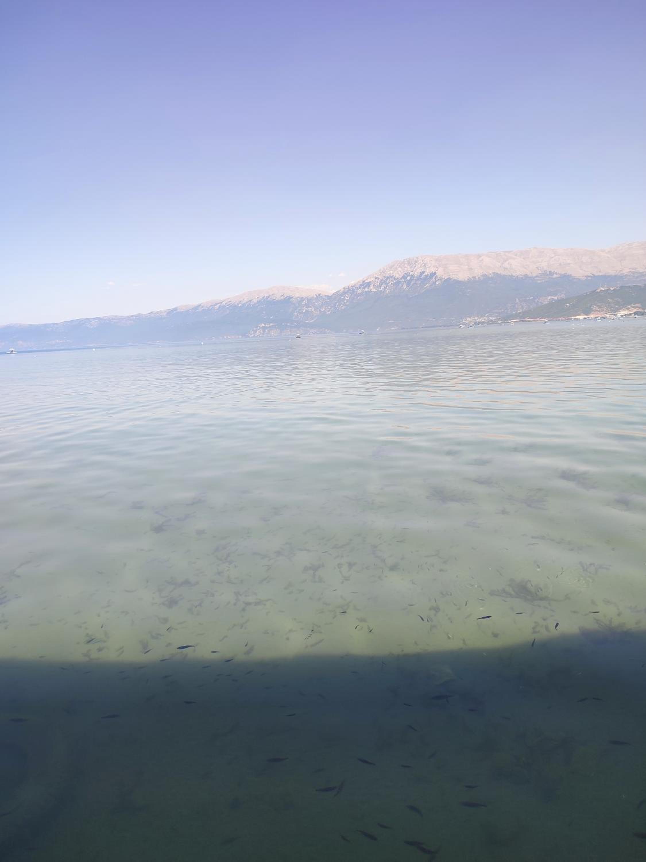 Room's for you photo 2