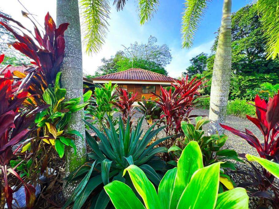 Heated Pool & Garden Cabin near La Fortuna