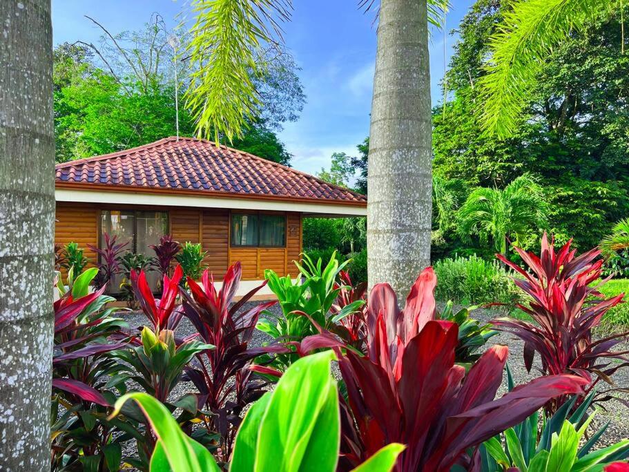 Heated Pool & Garden Cabin near La Fortuna