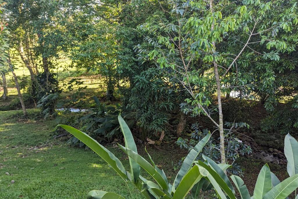 Heated Pool & Garden Cabin near La Fortuna