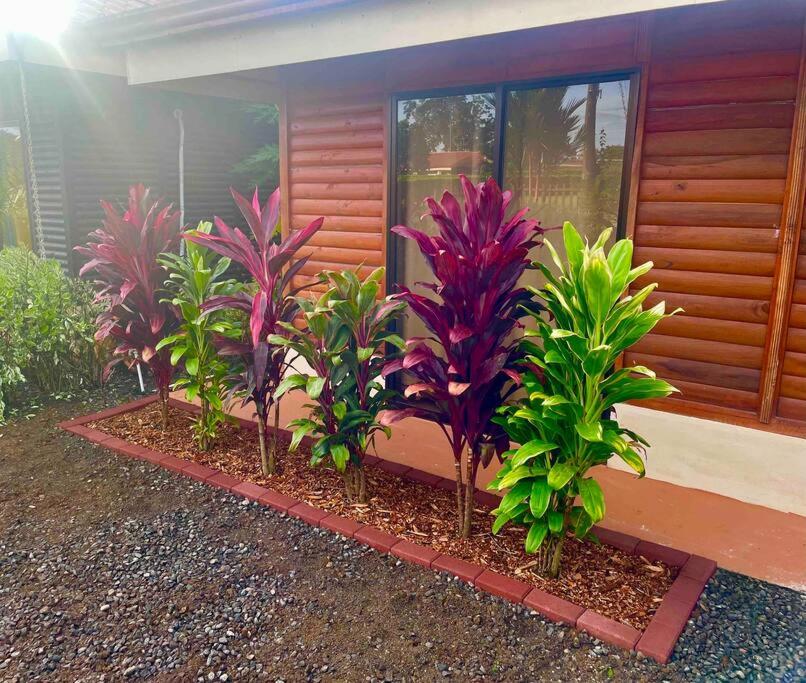 Heated Pool & Garden Cabin near La Fortuna