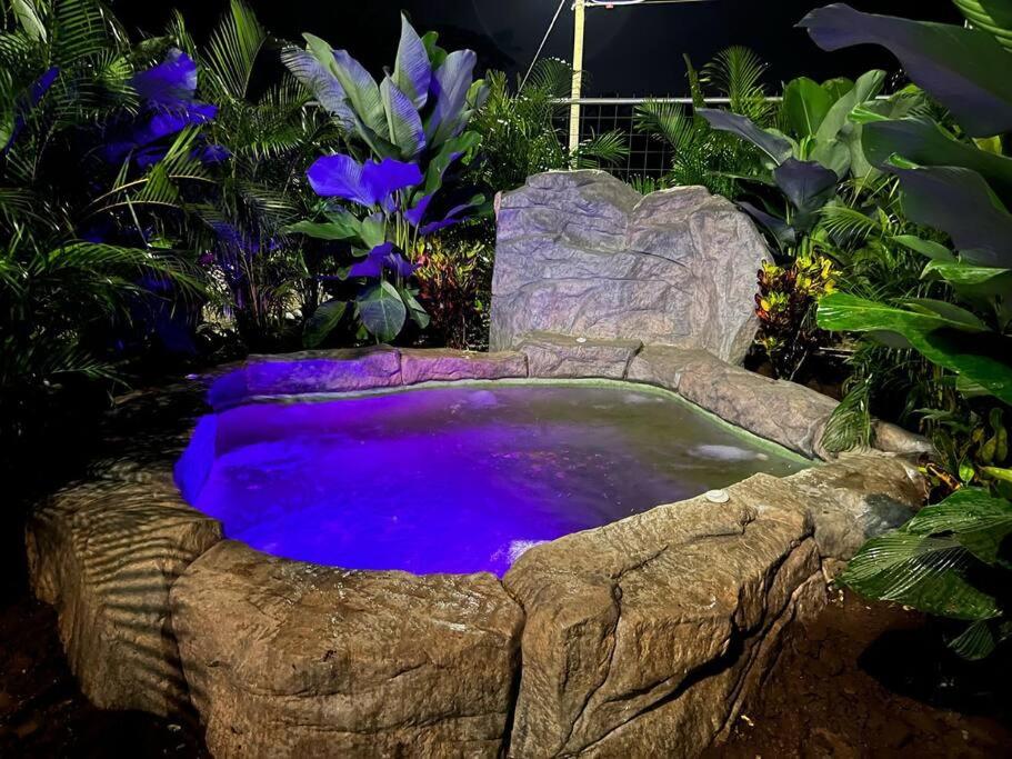 Heated Pool & Volcano Views by La Fortuna