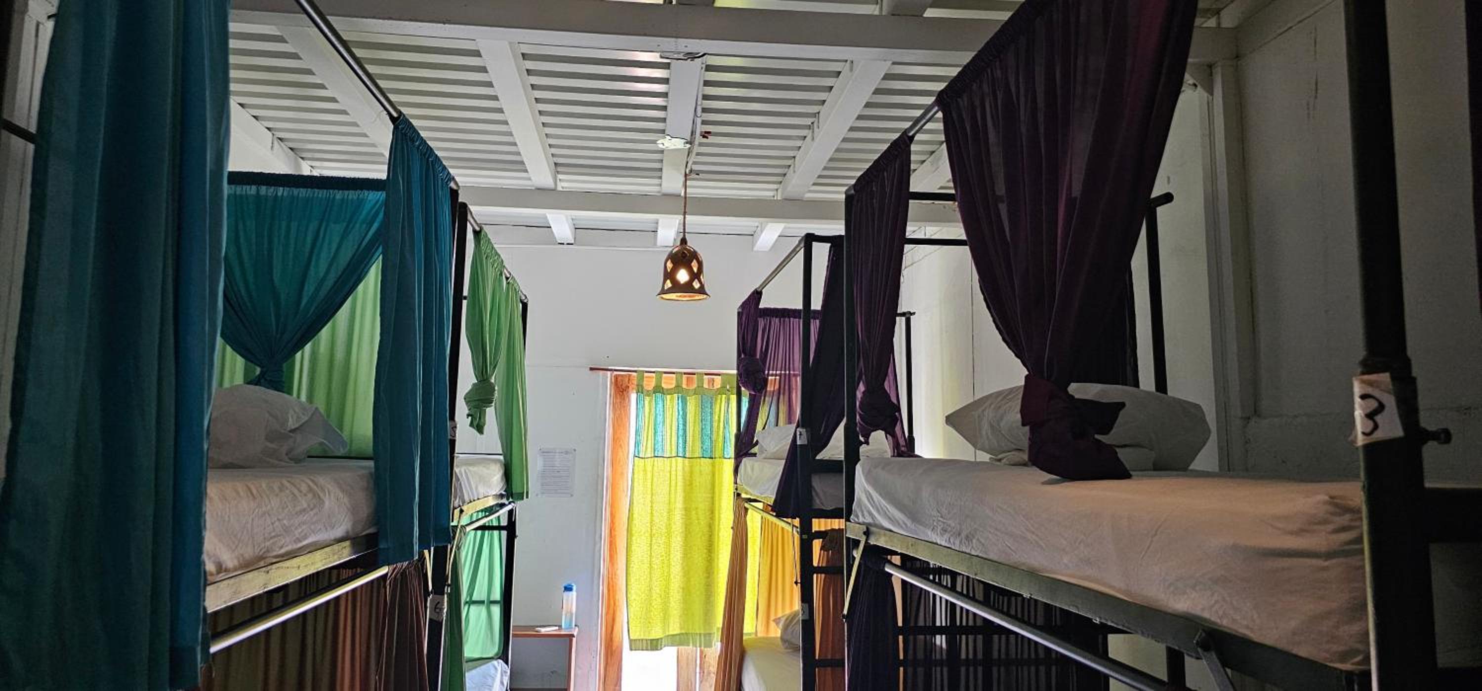 Casa Oro Eco Hostel