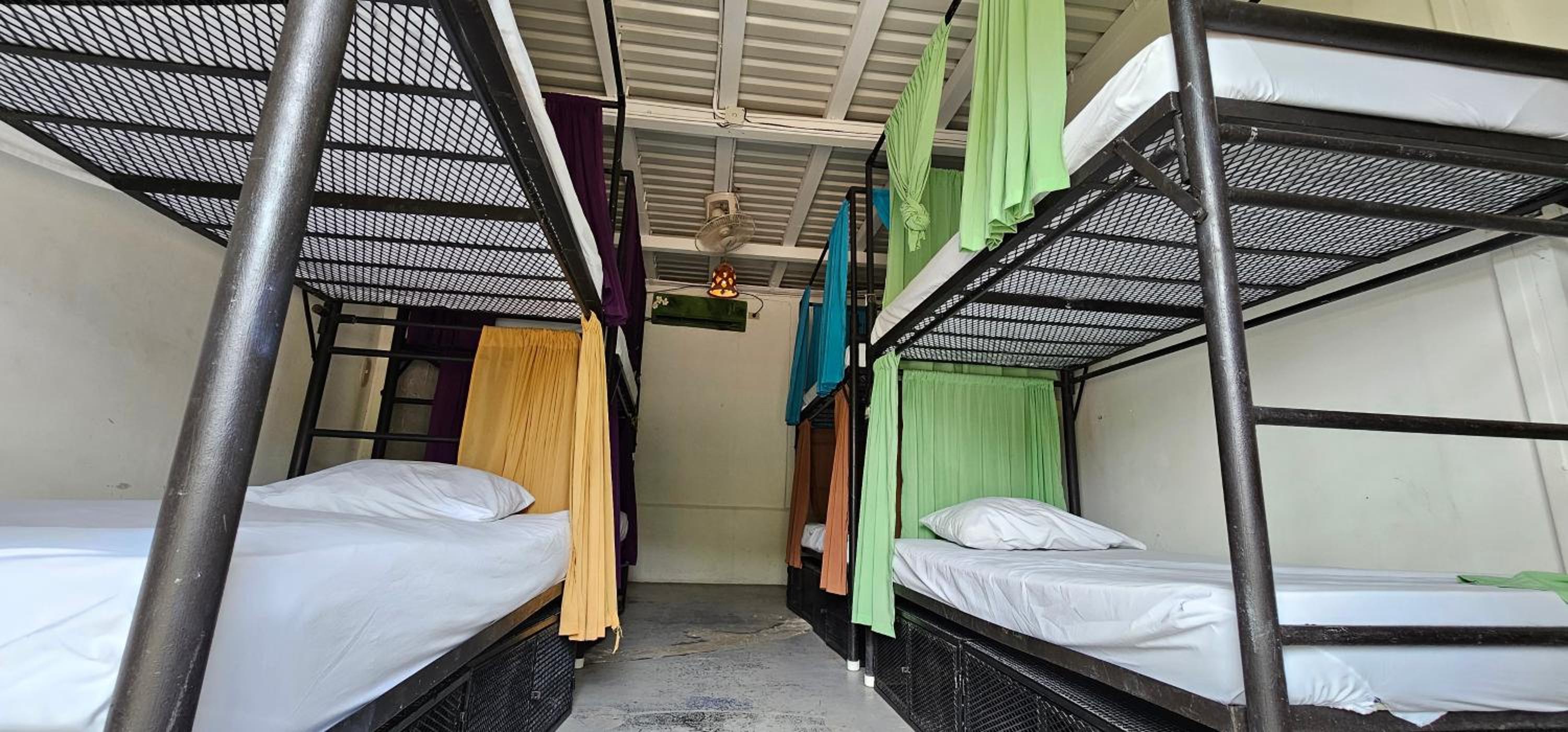 Casa Oro Eco Hostel