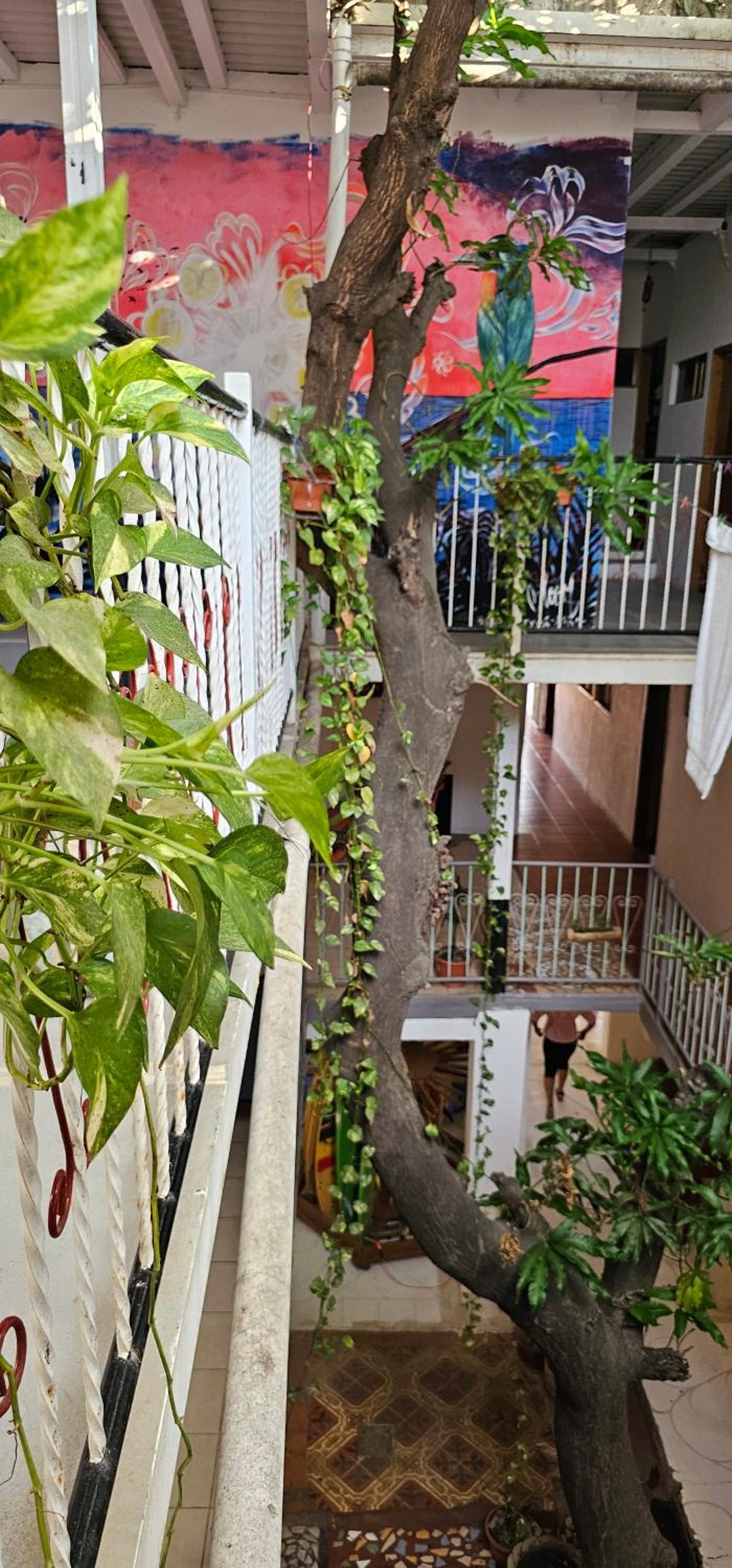Casa Oro Eco Hostel