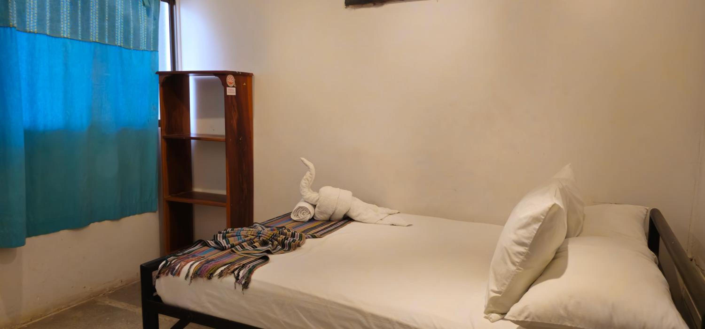 Casa Oro Eco Hostel