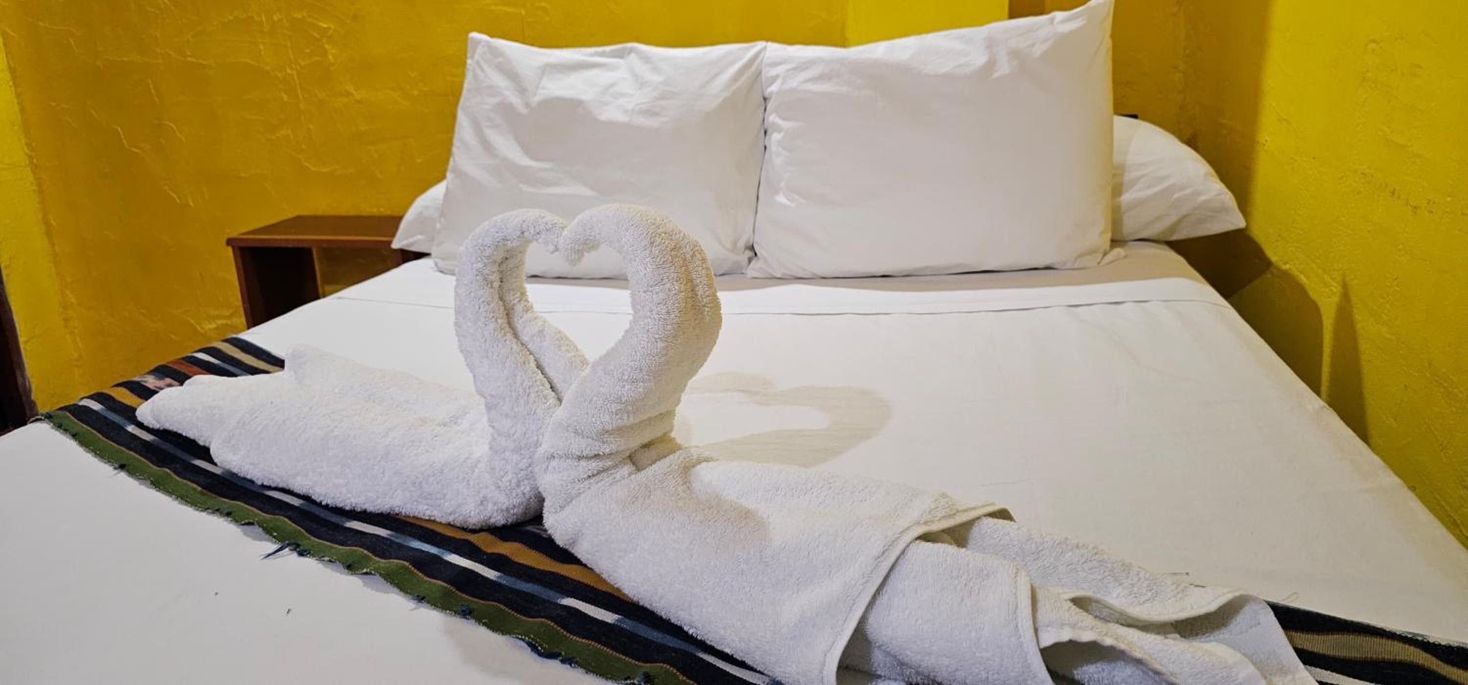 Casa Oro Eco Hostel