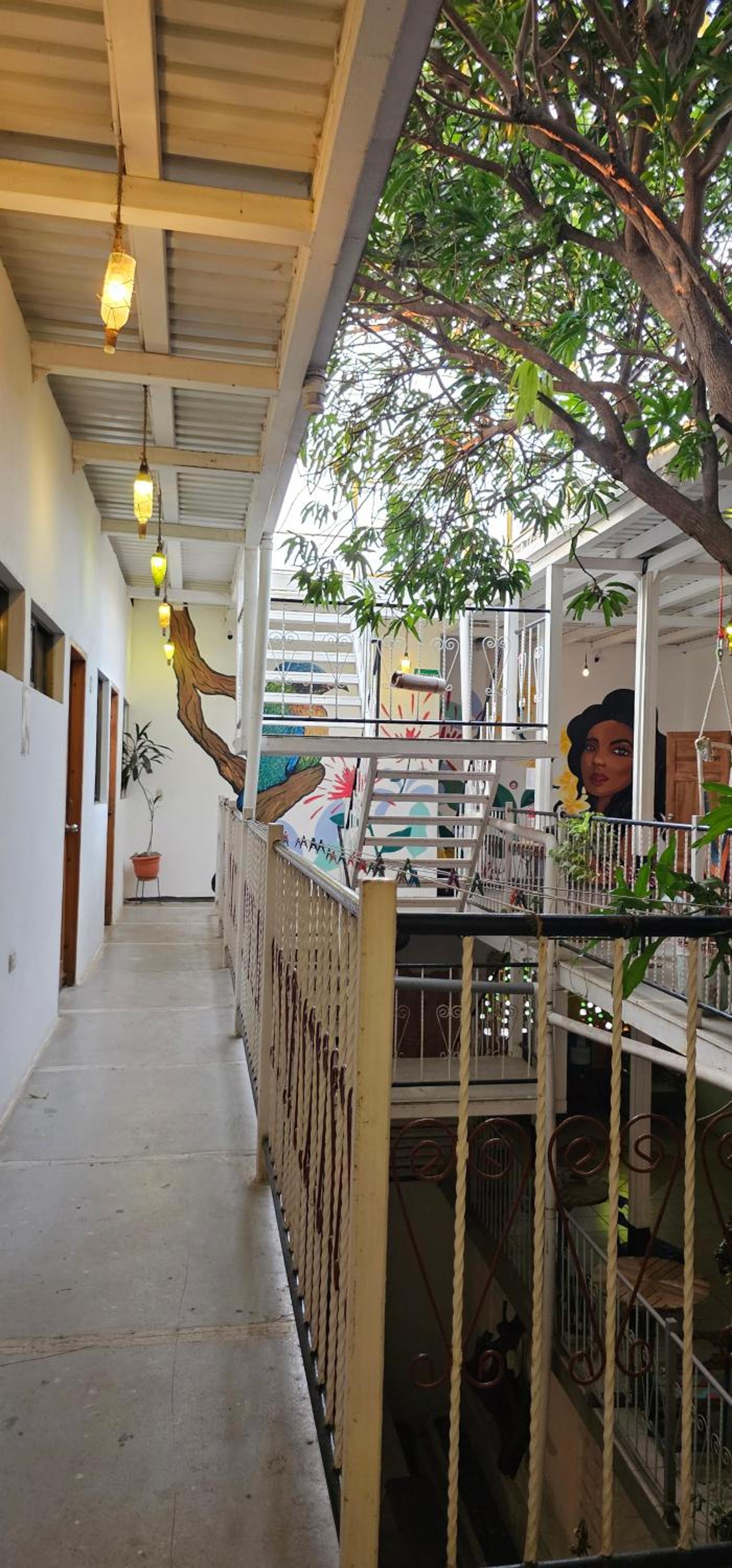 Casa Oro Eco Hostel