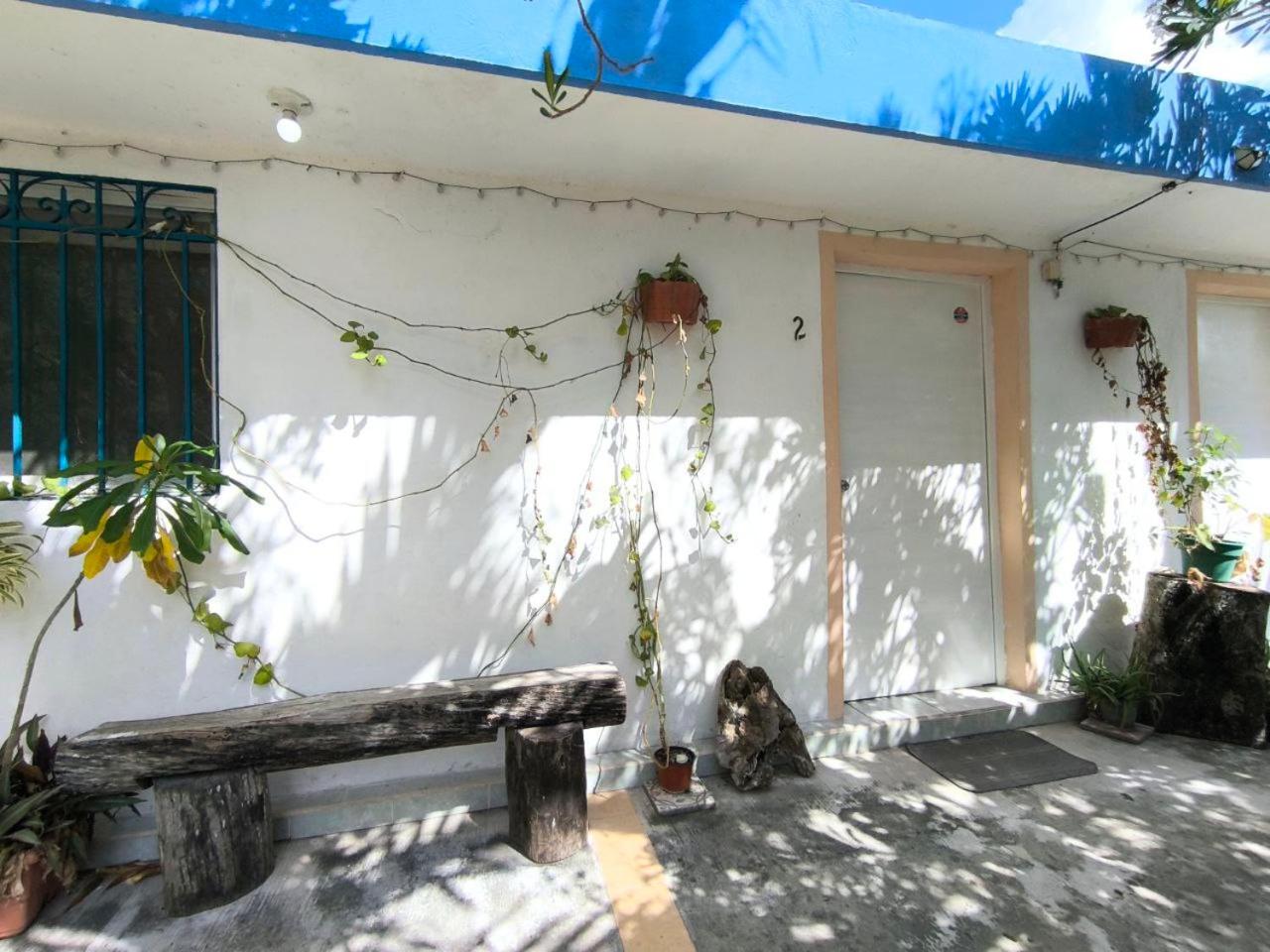 Comfy studio Yaxkin on downtown, 3 block away from sea and sunsets view 2