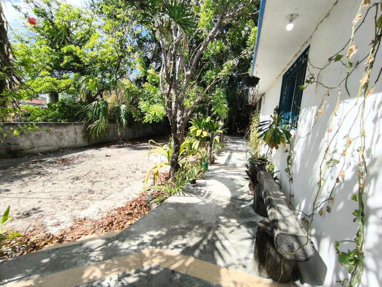 Photo 22