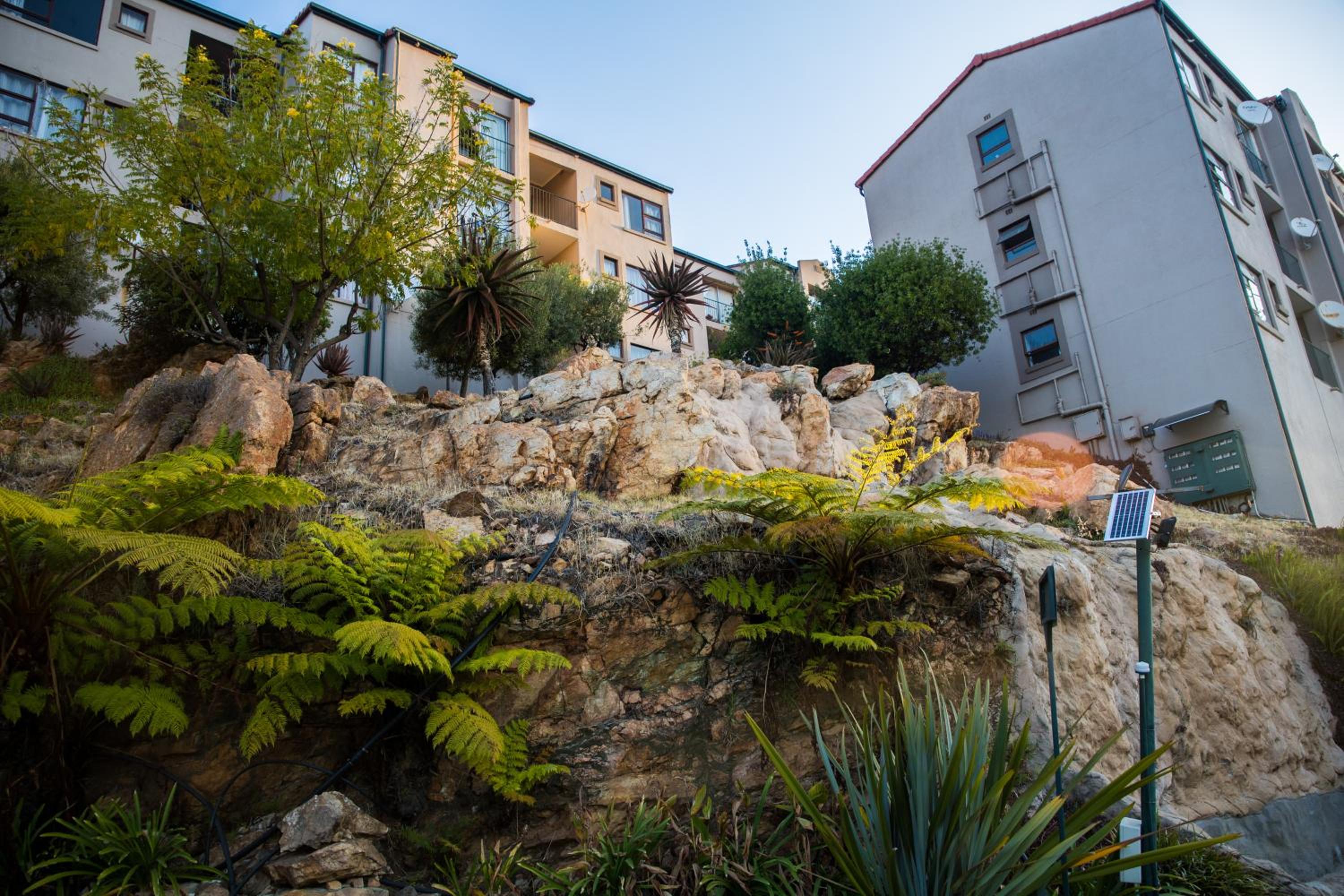 Mountain Oasis