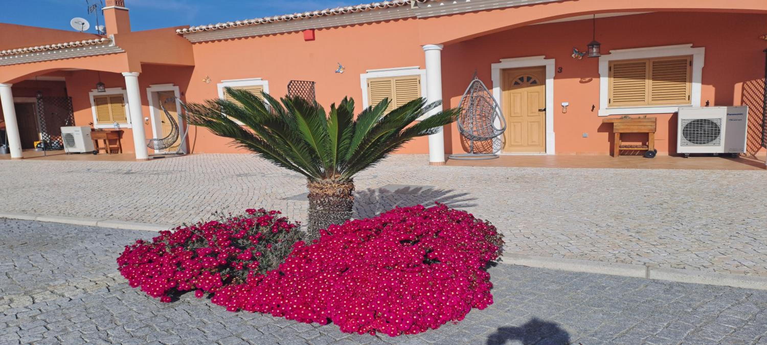 Herdade Monte Gordo view 4