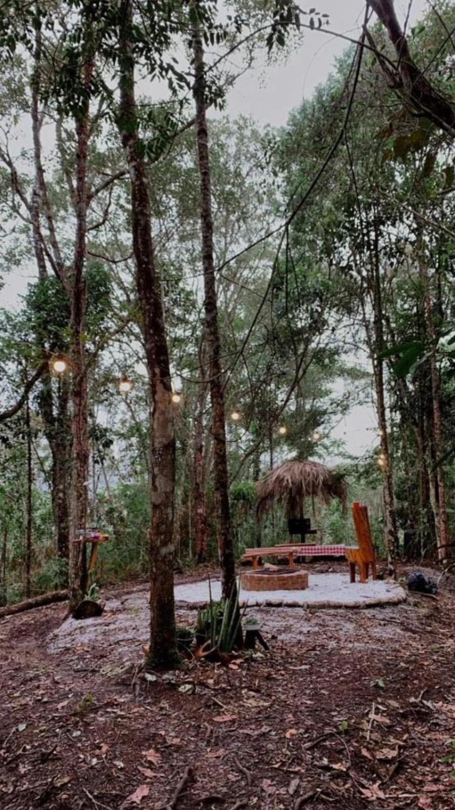 TreeHouse Seu Paraíso nas Montanhas