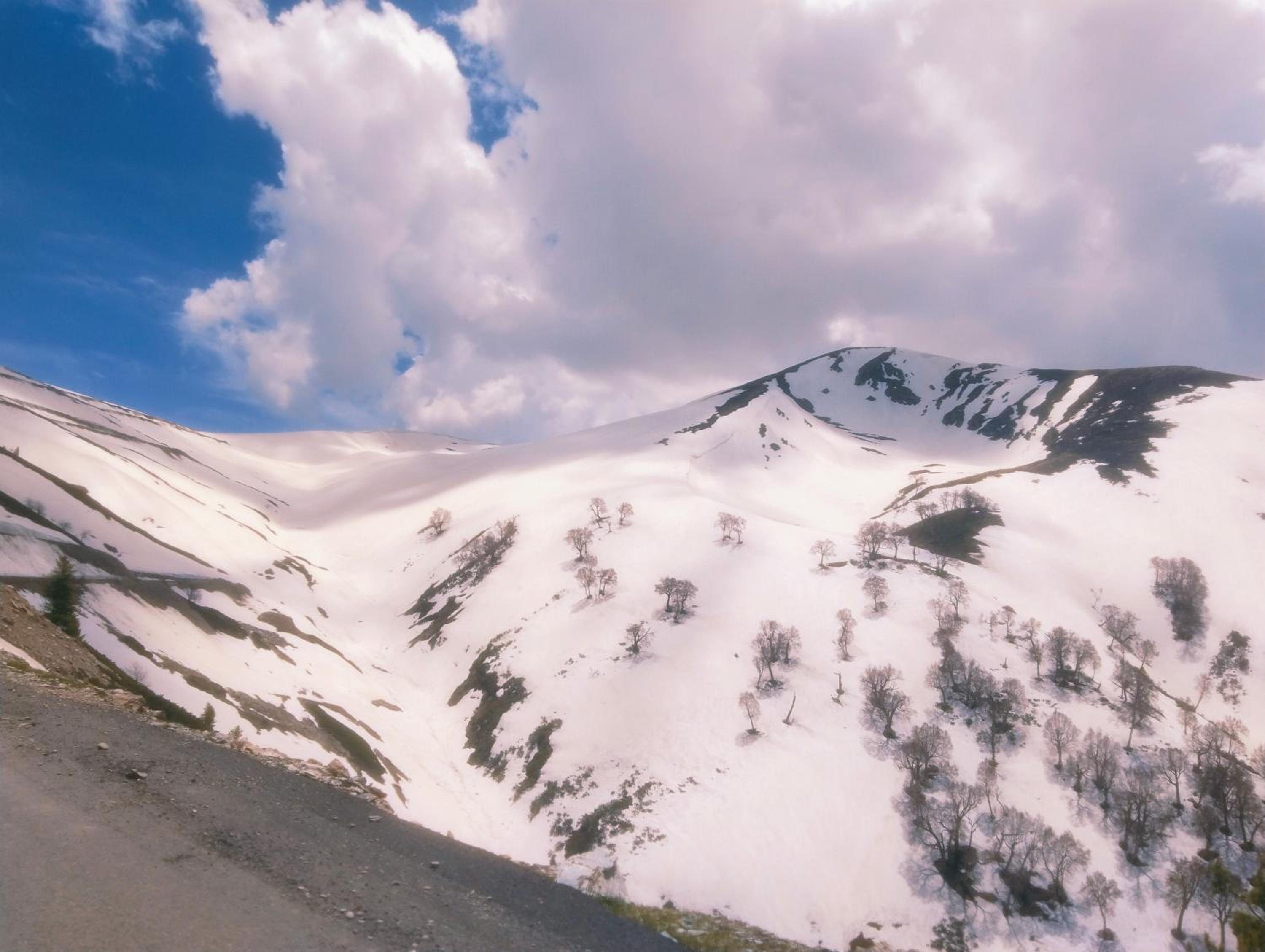 Valley Guest House Pahalgam