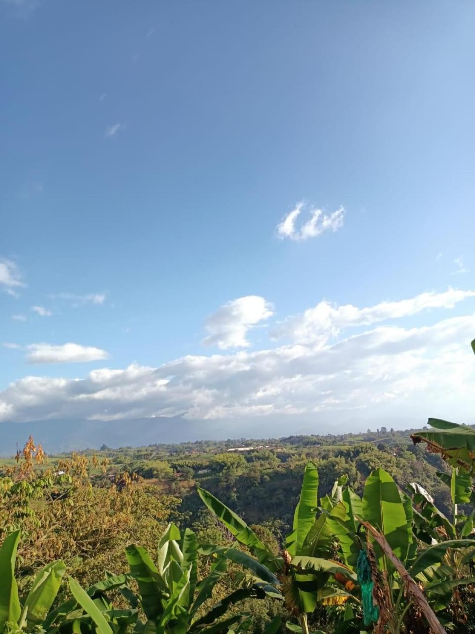 Cabañas la Miranda