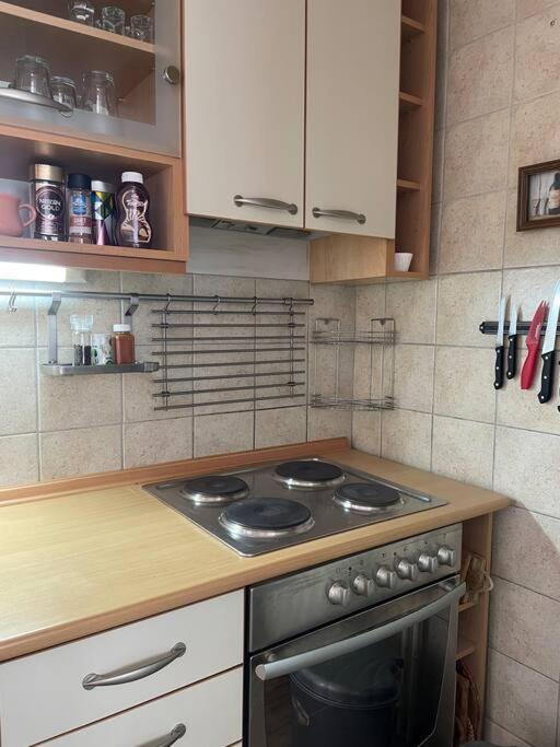 Specious City Center Retreat in Skopje 55m2 view 5