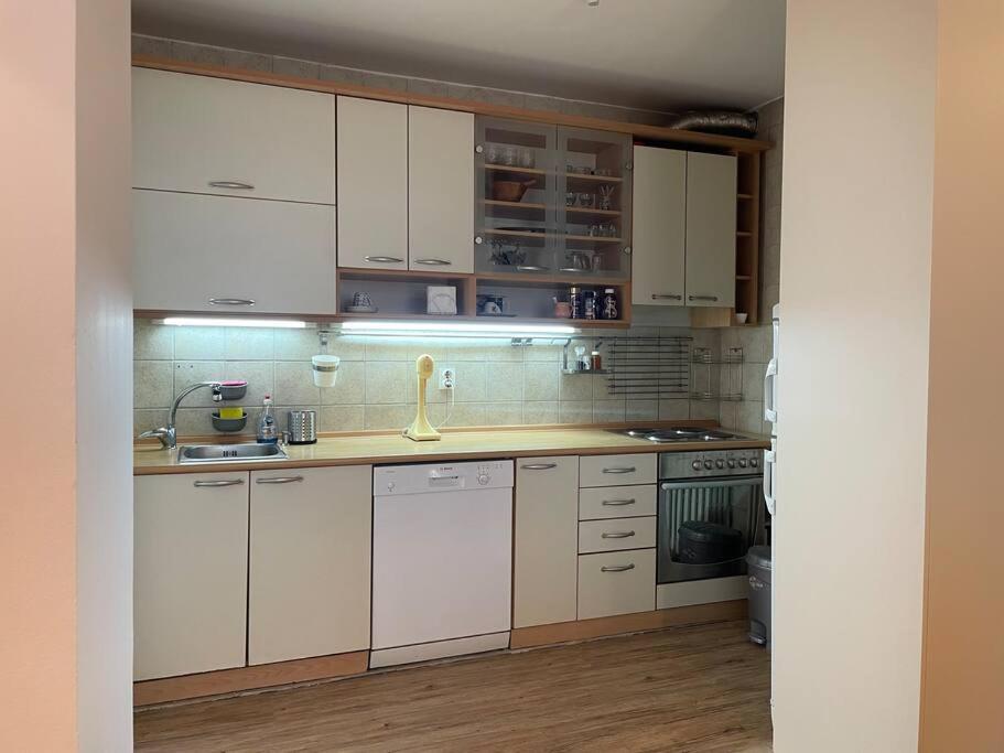 Specious City Center Retreat in Skopje 55m2 view 4