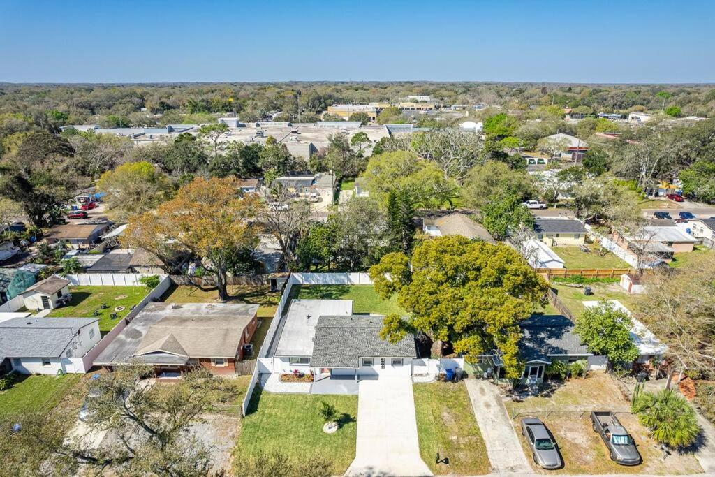 Newly Renovated home in Tampa, Florida