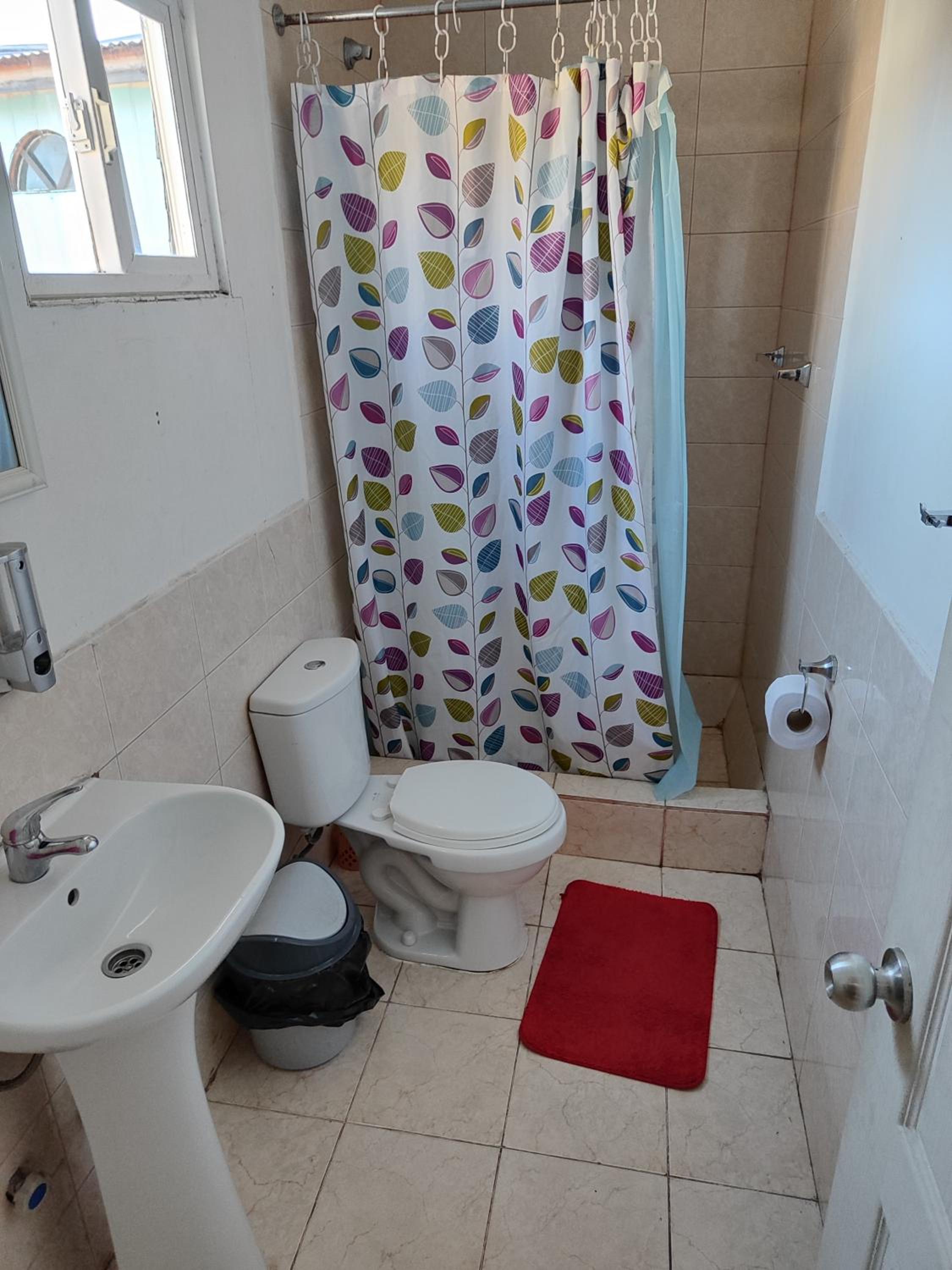 Alma Patagona Hostel Coyhaique