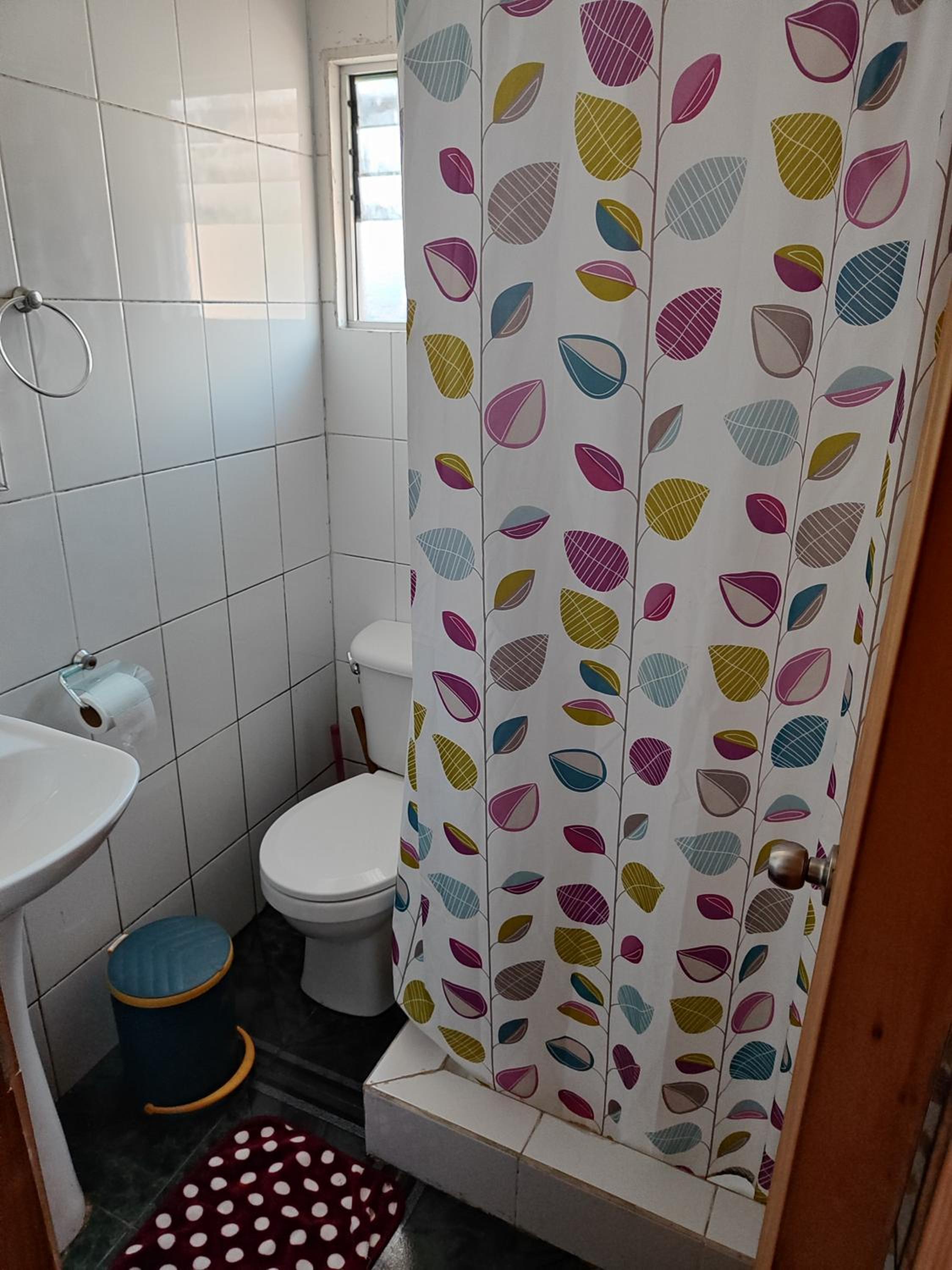 Alma Patagona Hostel Coyhaique