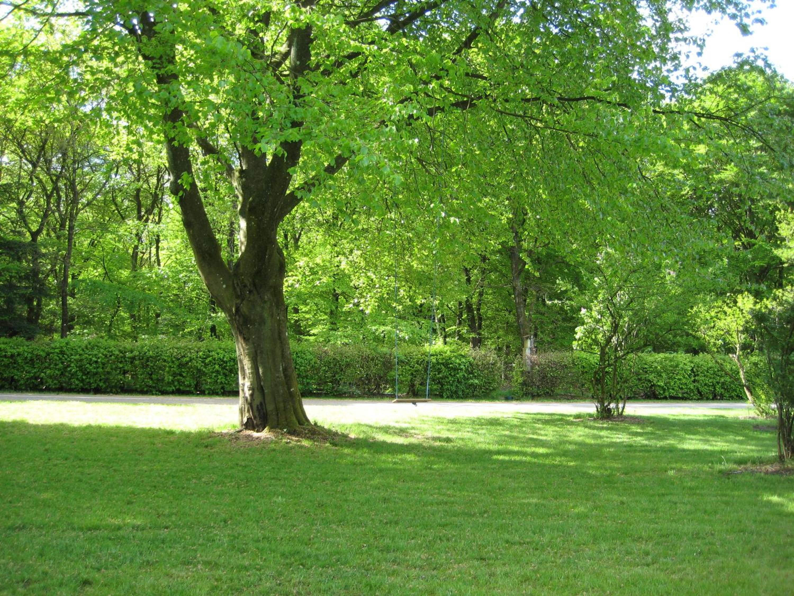 Photo 26