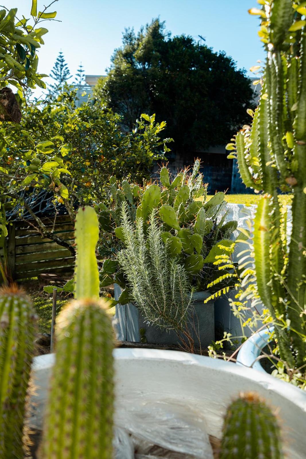 Swell Yamba, Iconic 7 Bedroom House on the Hill with Amazing Bay Views