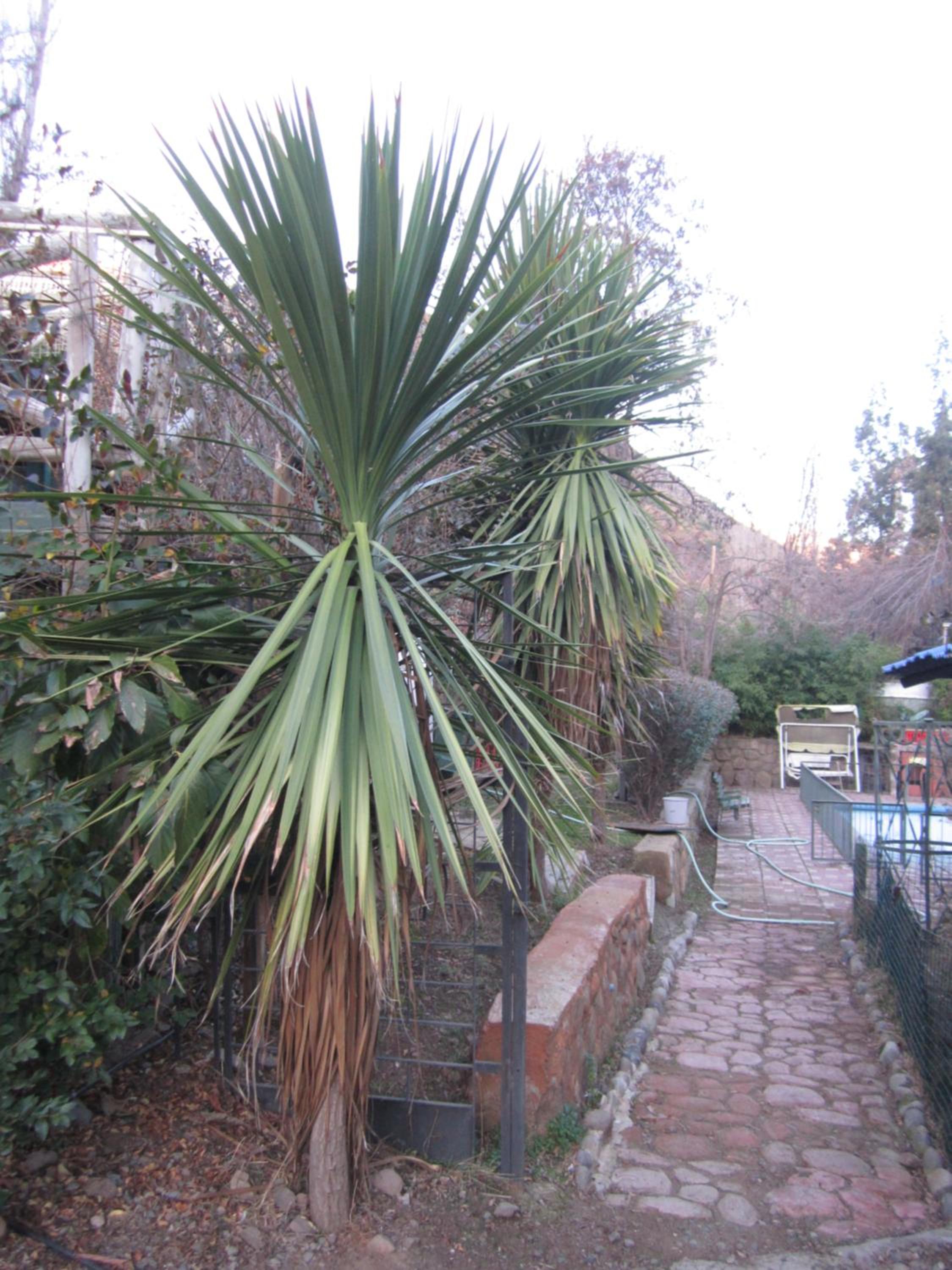 Cabañas Los grillos