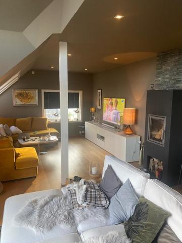 Flott leilighet med særpreg nær sentrum view 5