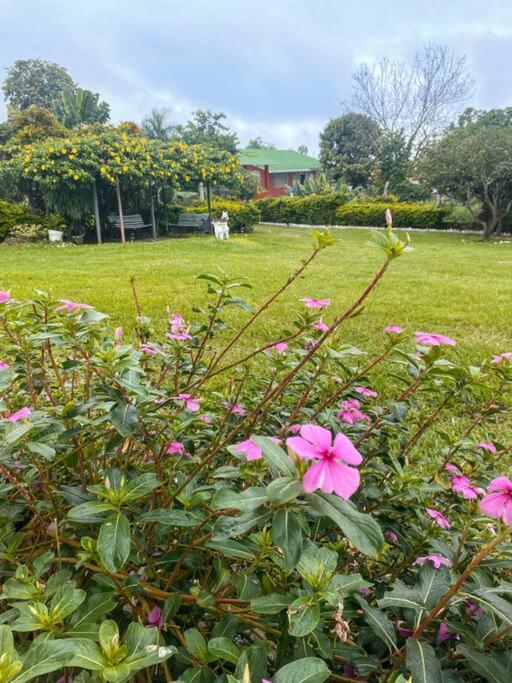 Hermosa finca en Chinauta