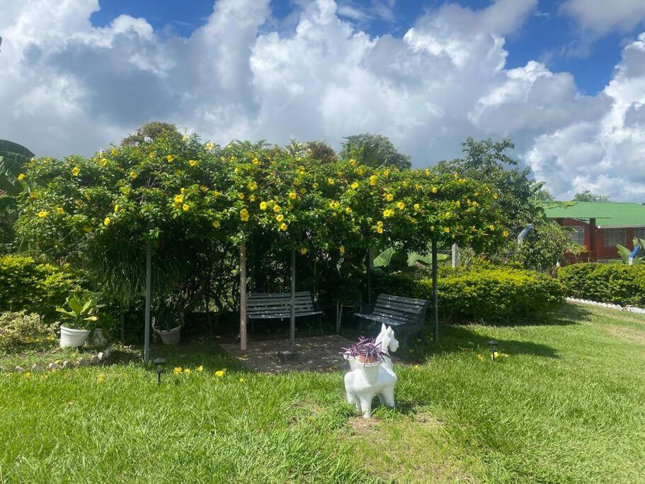 Hermosa finca en Chinauta