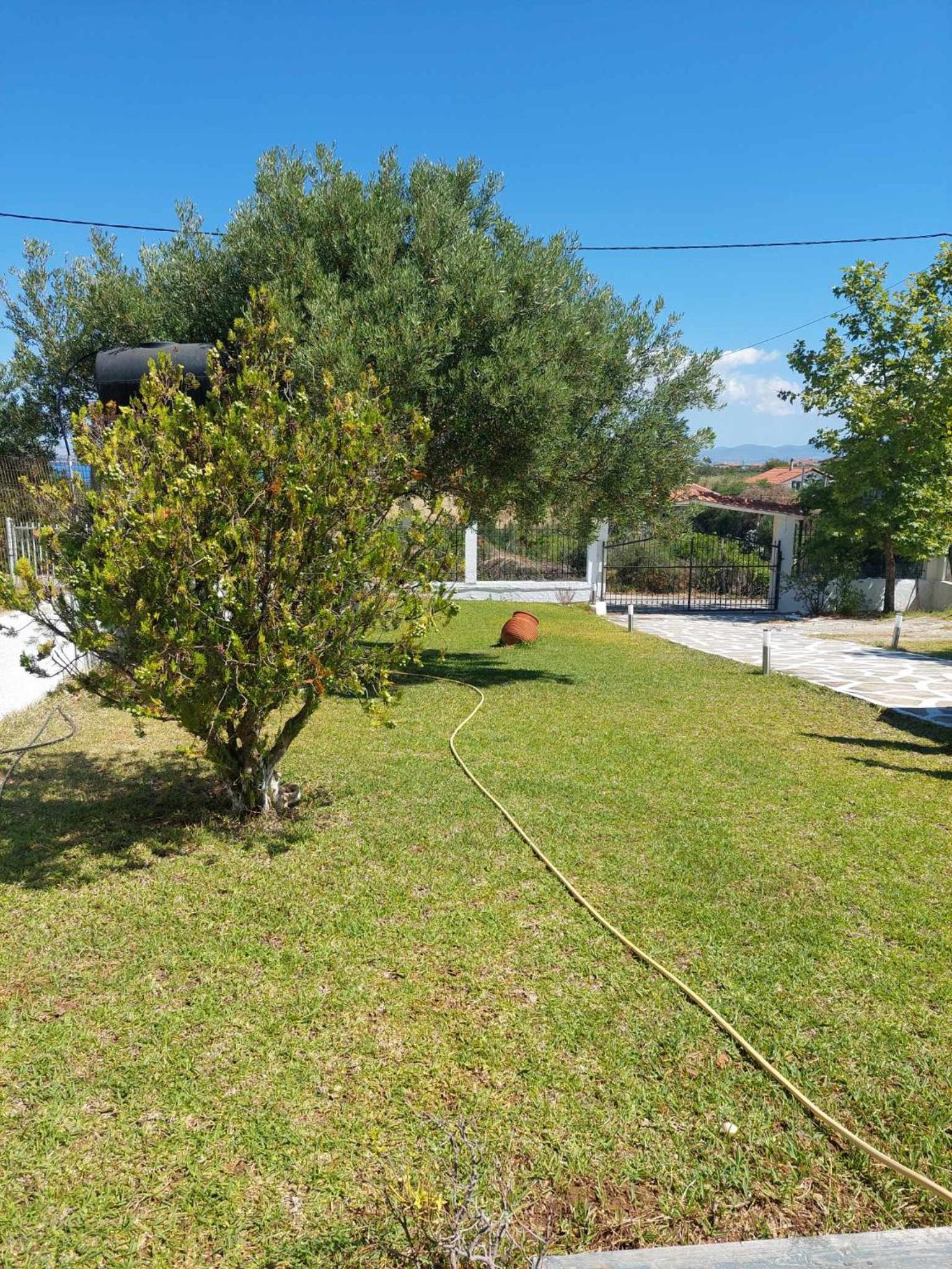 Tasos