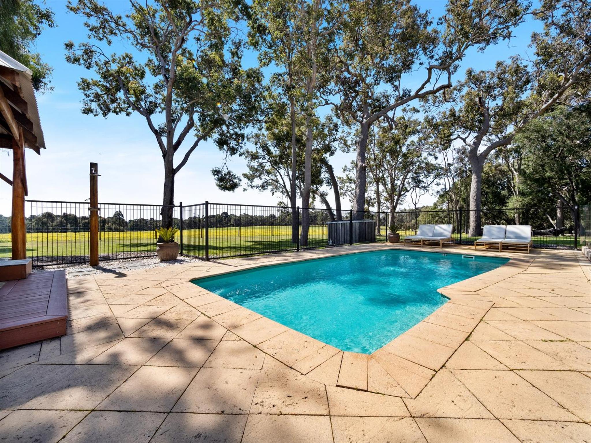 Forest Rise Chalets and Lodge