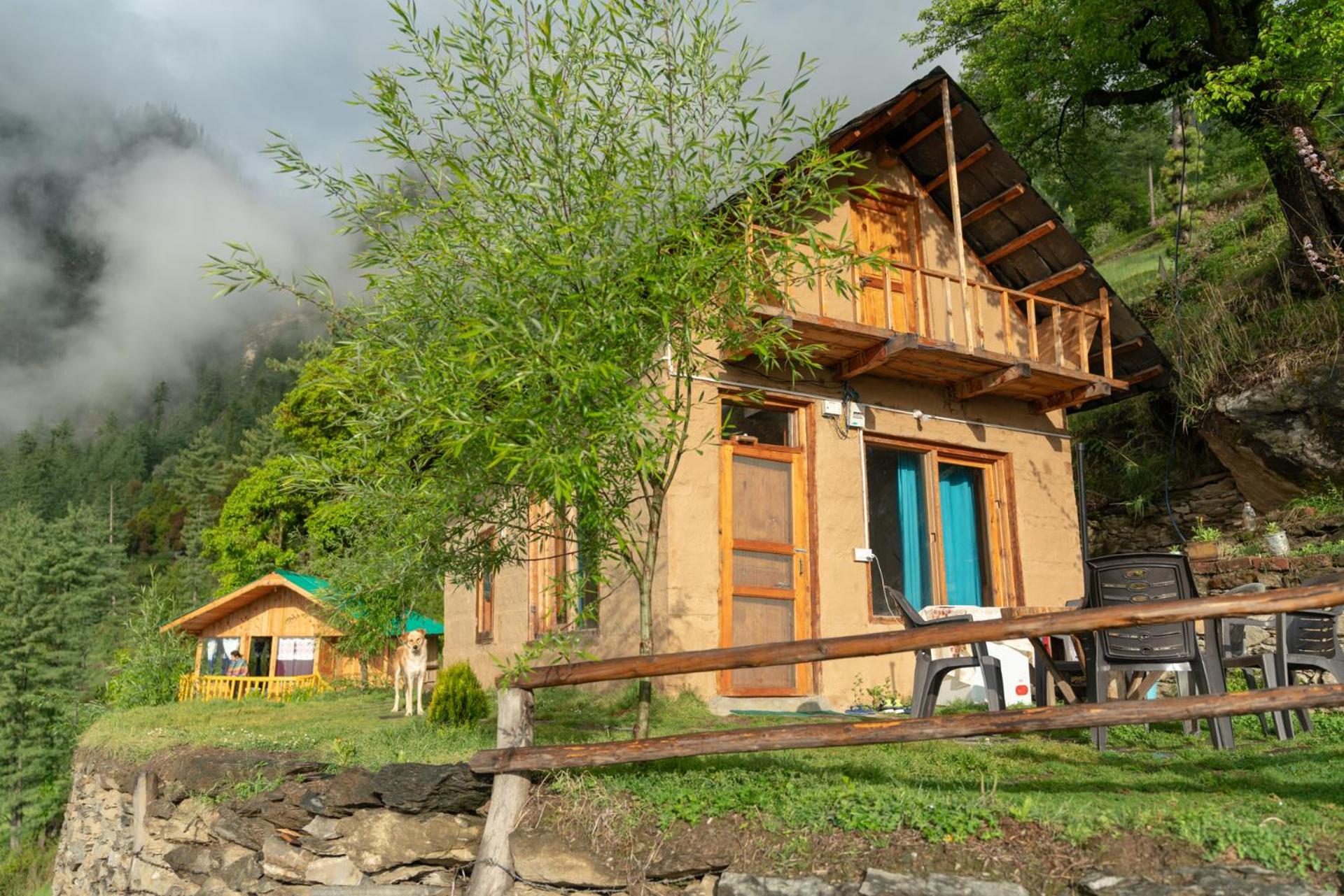 Whispering Pines Cottages Cabin Tandi view 2