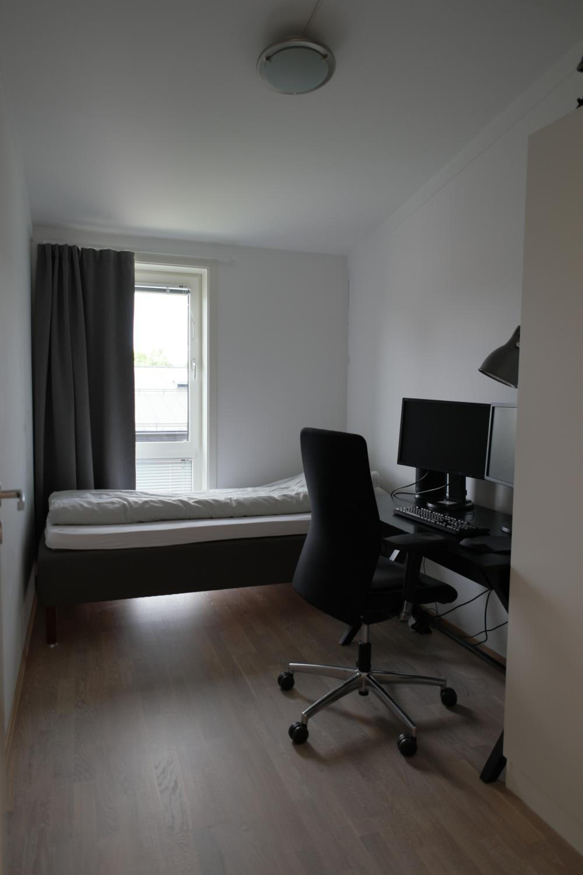 Photo 8