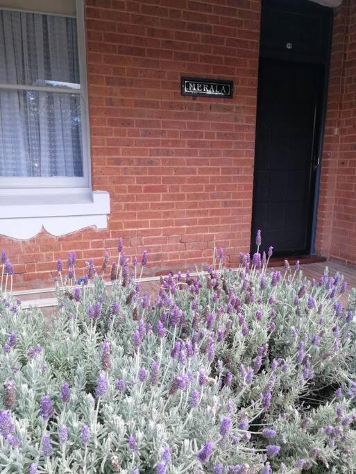 Merala a cosy cottage with easy stroll to CBD