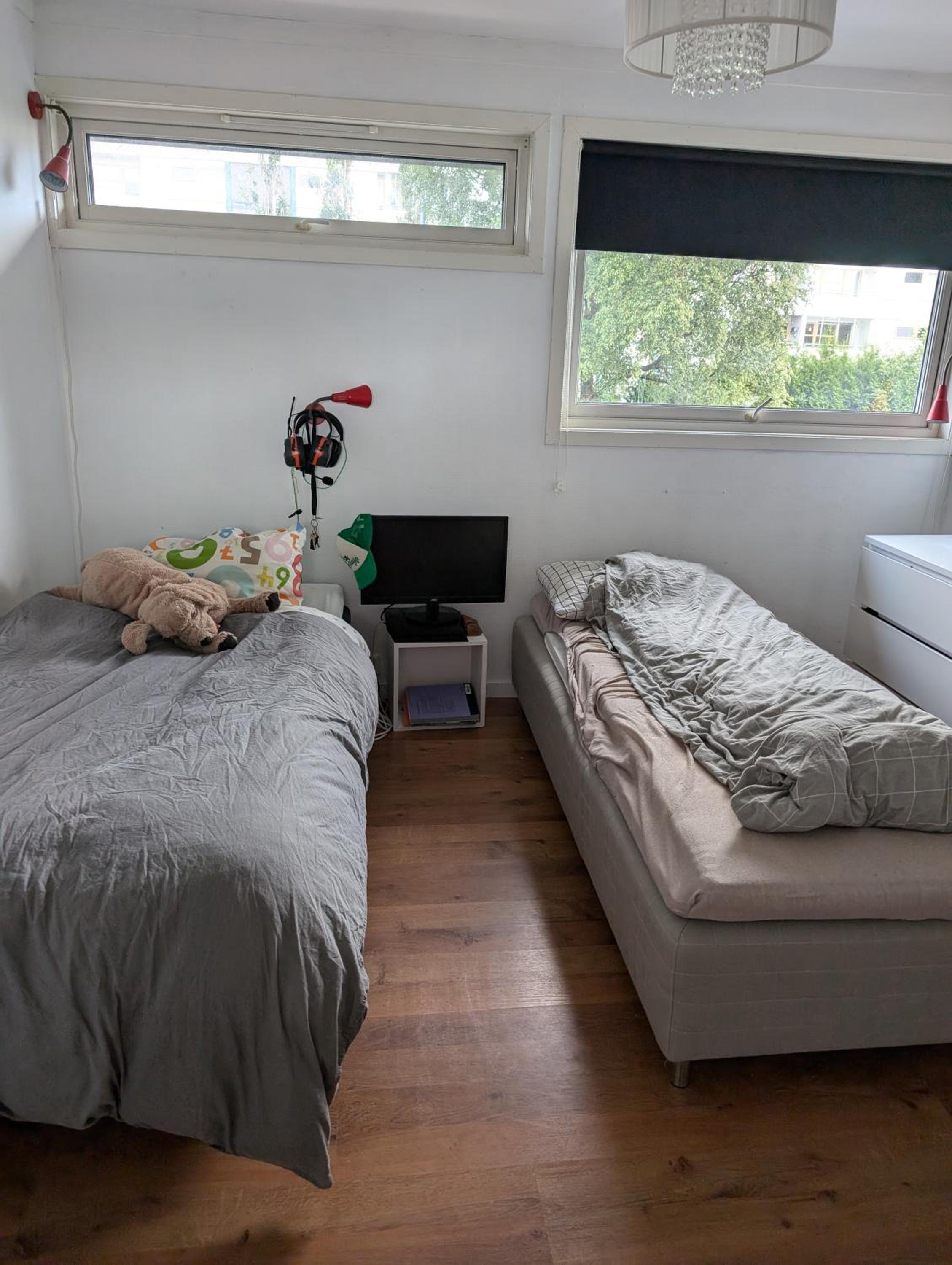 Photo 10