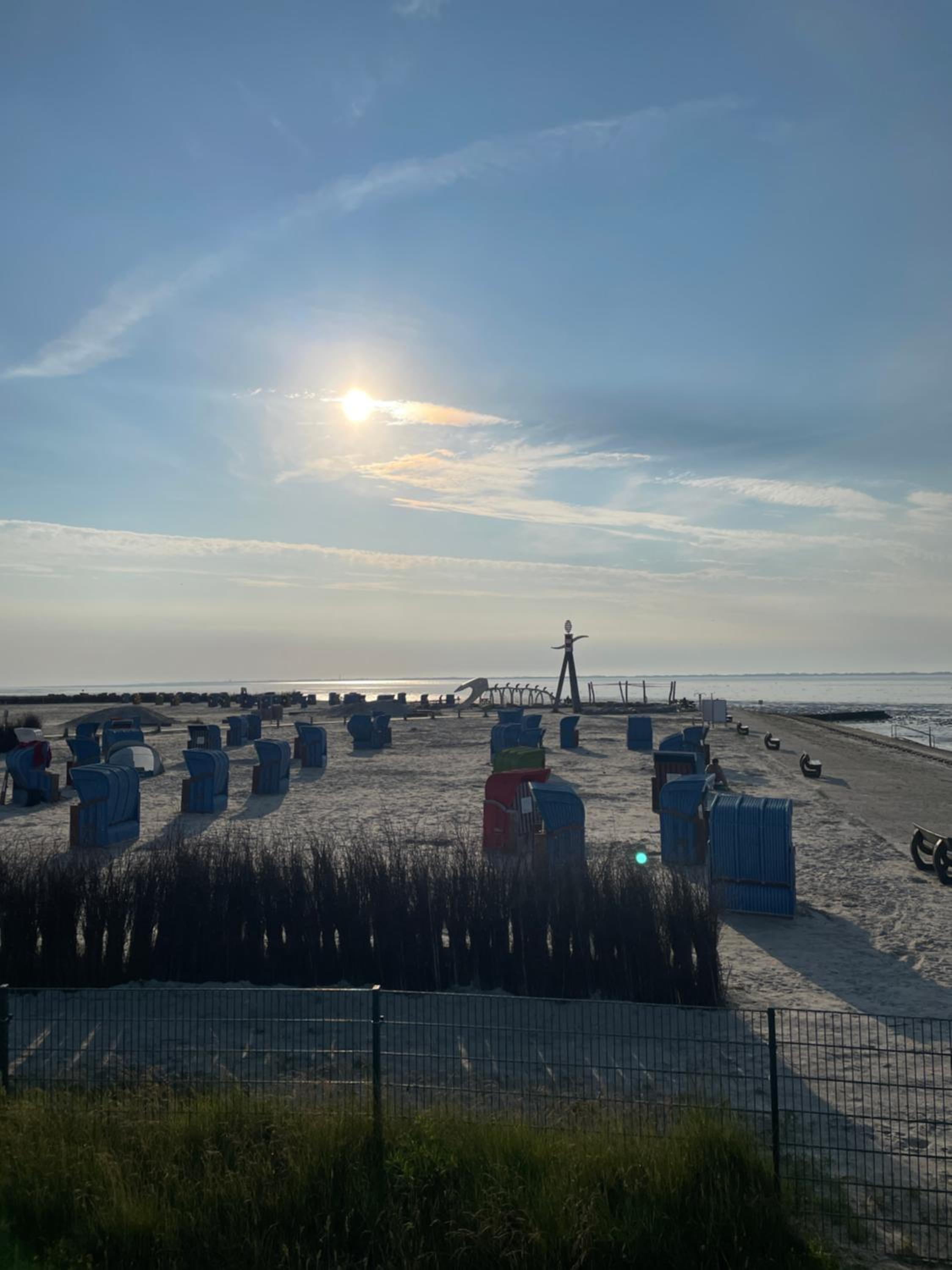 Seestern am Naturstrand