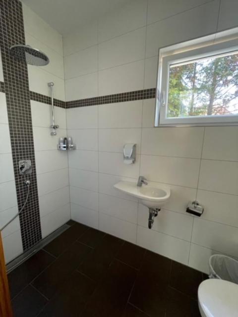 Salzburg Vacations - 1. SALZBURG work sleep luxury apartment" fur arbeiten wohnen ! - Property Image 13