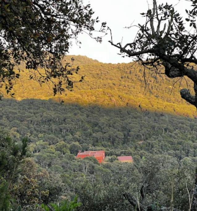 Masia Can Castellar