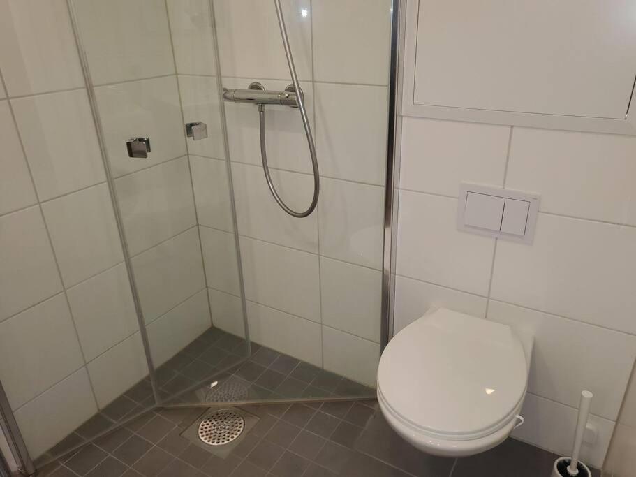 Practical flat connected with garden view 5