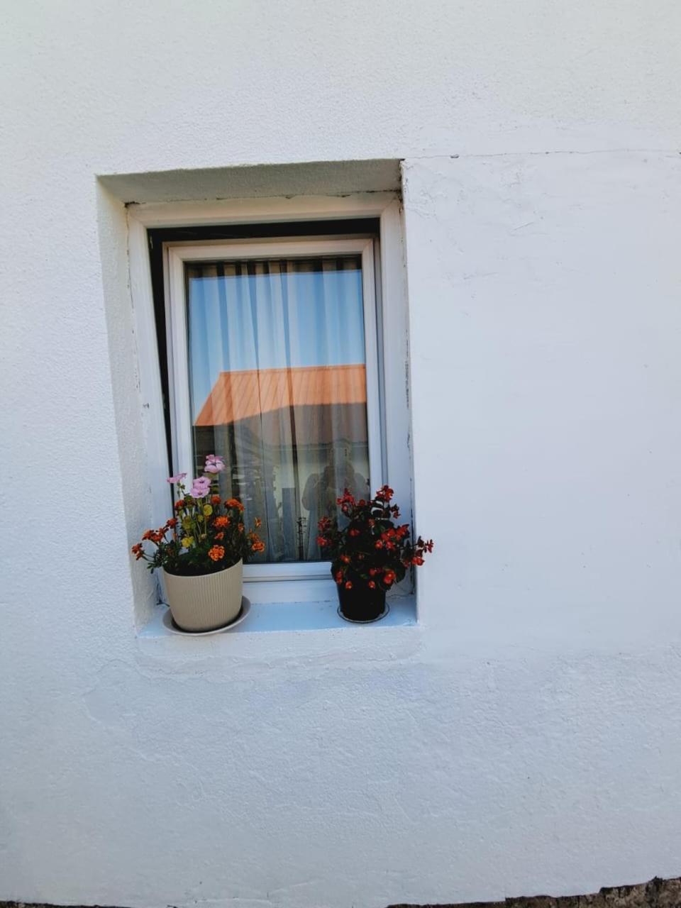 Sofia apartman